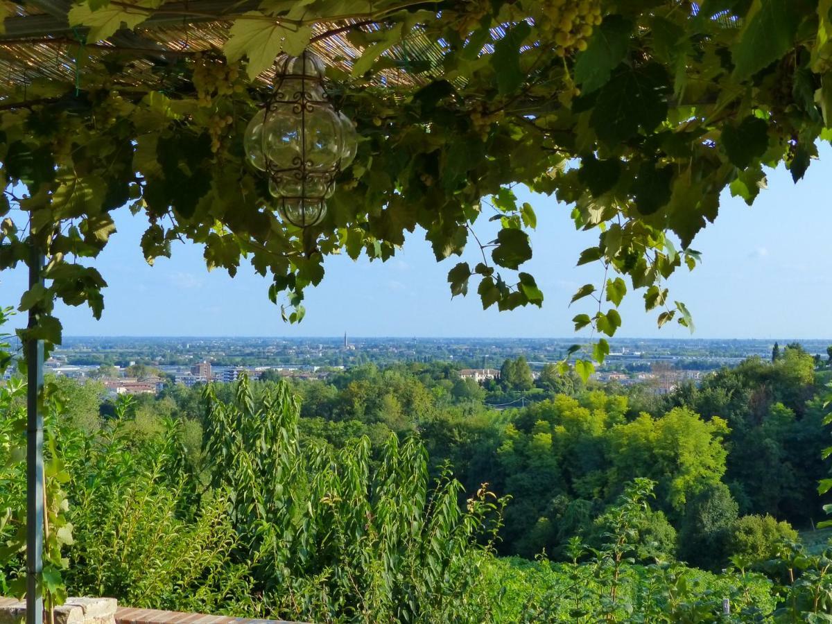 Podere Di Costabella Конельяно Экстерьер фото